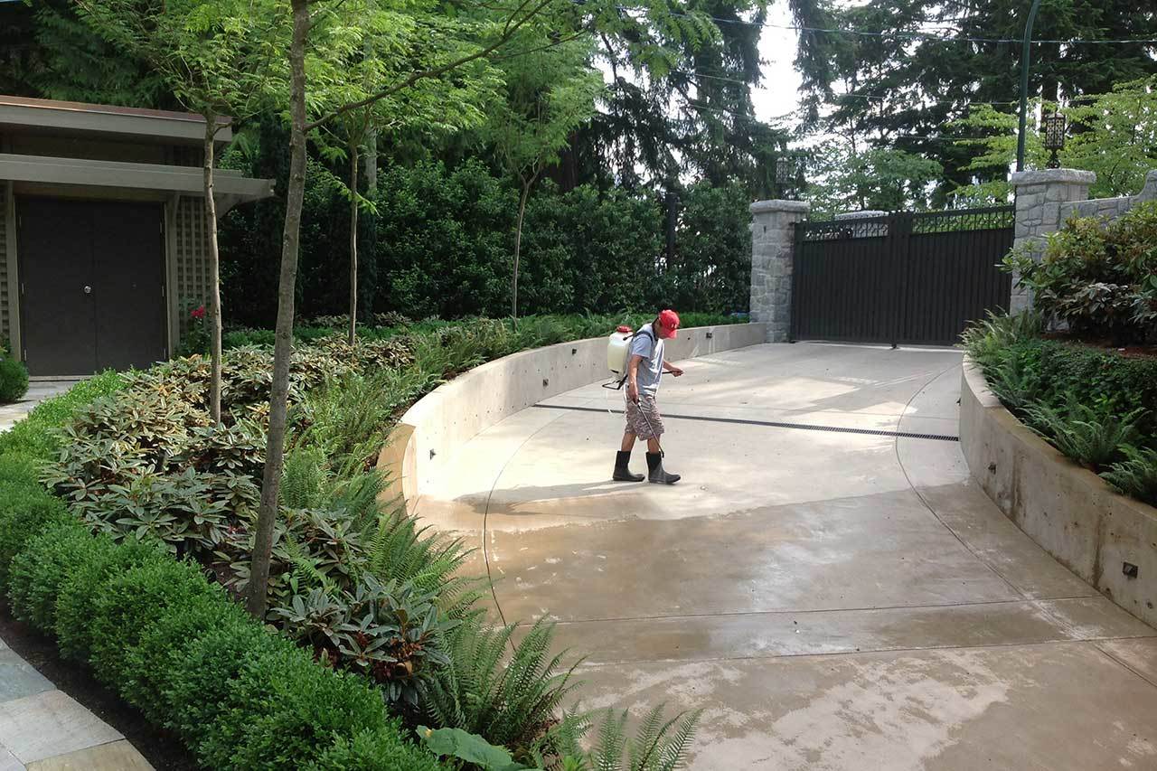 sealforce spraying driveway services